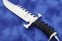 revengebowie1