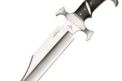 GH5023ADaromBowie2011