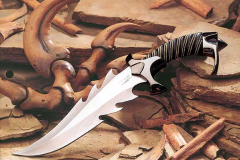 raptorfpr1