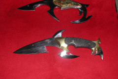 Shark1