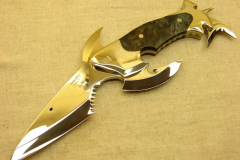 mesoshark21